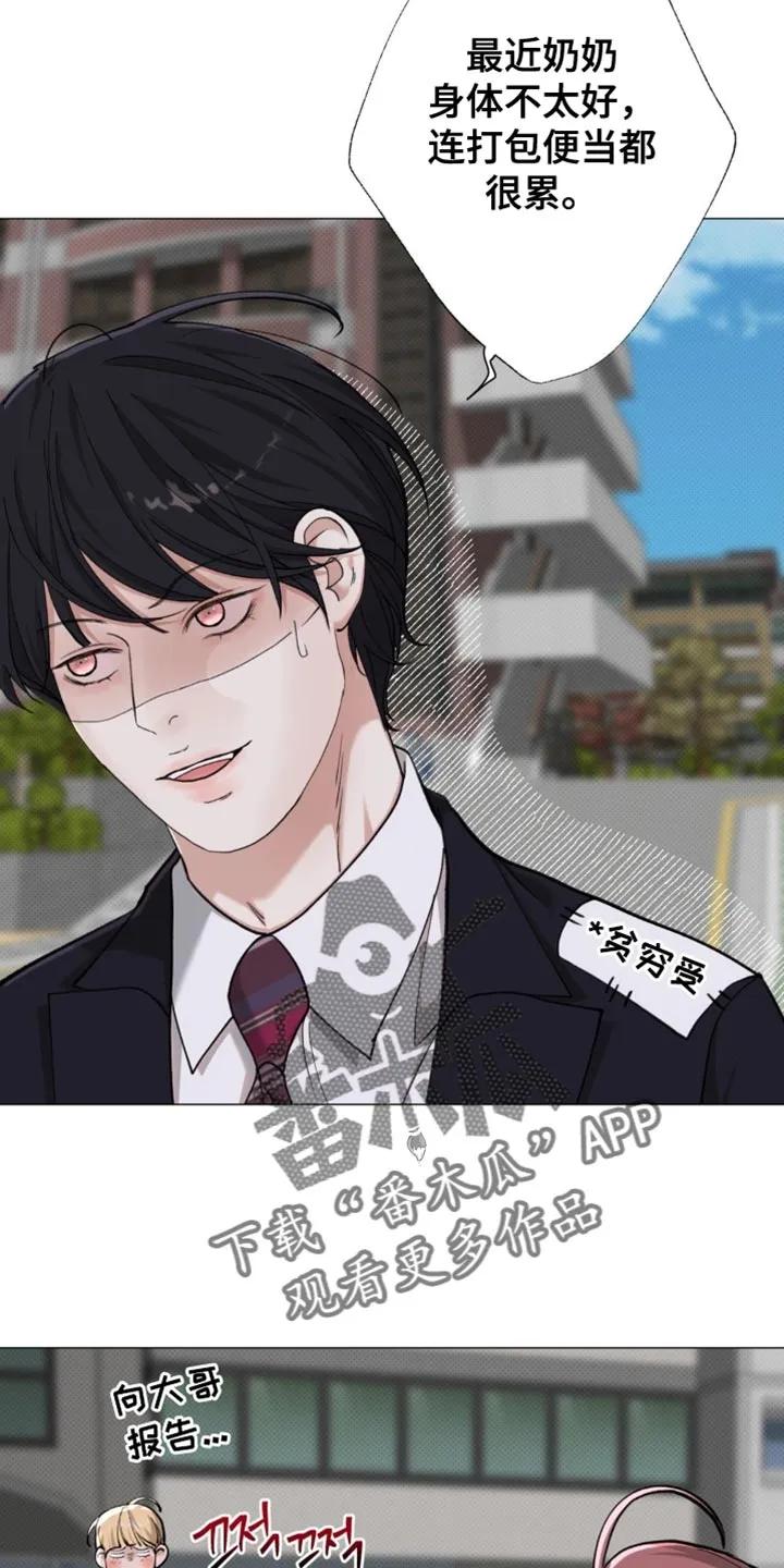 《海岛人生》第86章：【第二季】地瓜便当 第6页
