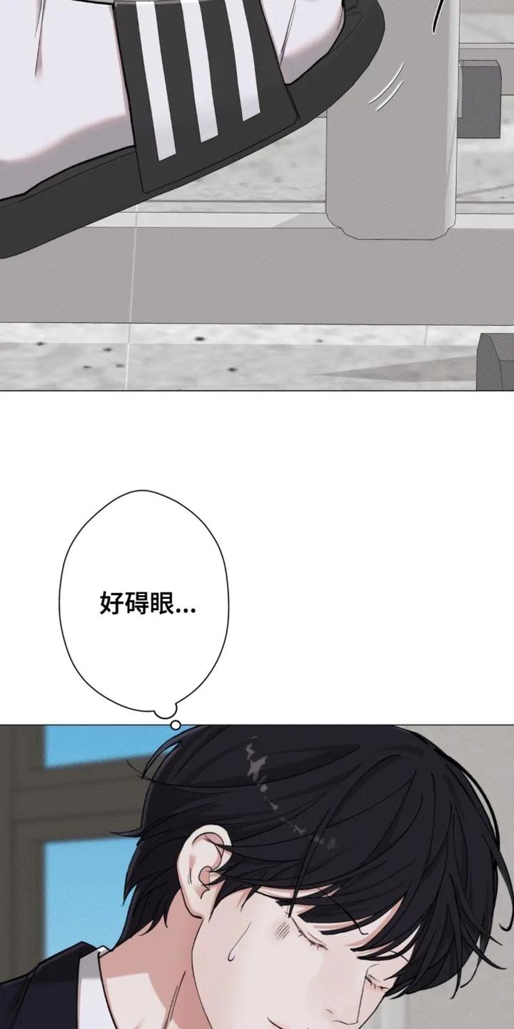 《海岛人生》第86章：【第二季】地瓜便当 第12页