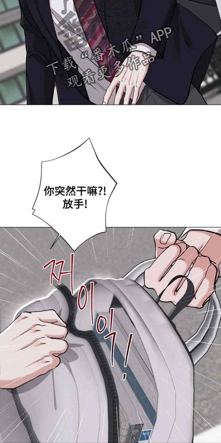 《海岛人生》第86章：【第二季】地瓜便当 第2页