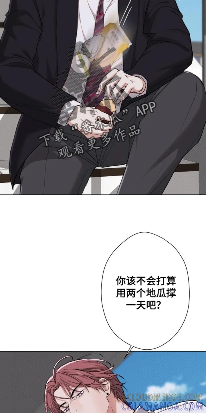 《海岛人生》第86章：【第二季】地瓜便当 第17页