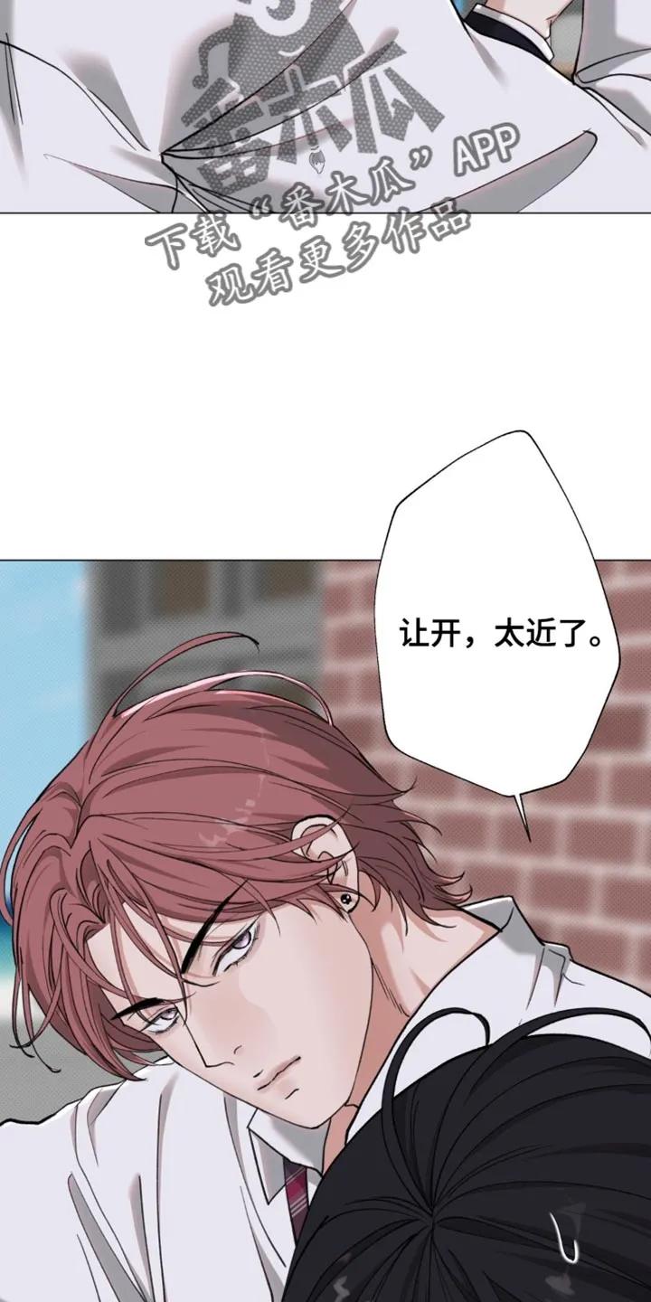 《海岛人生》第87章：【第二季】太近了 第14页