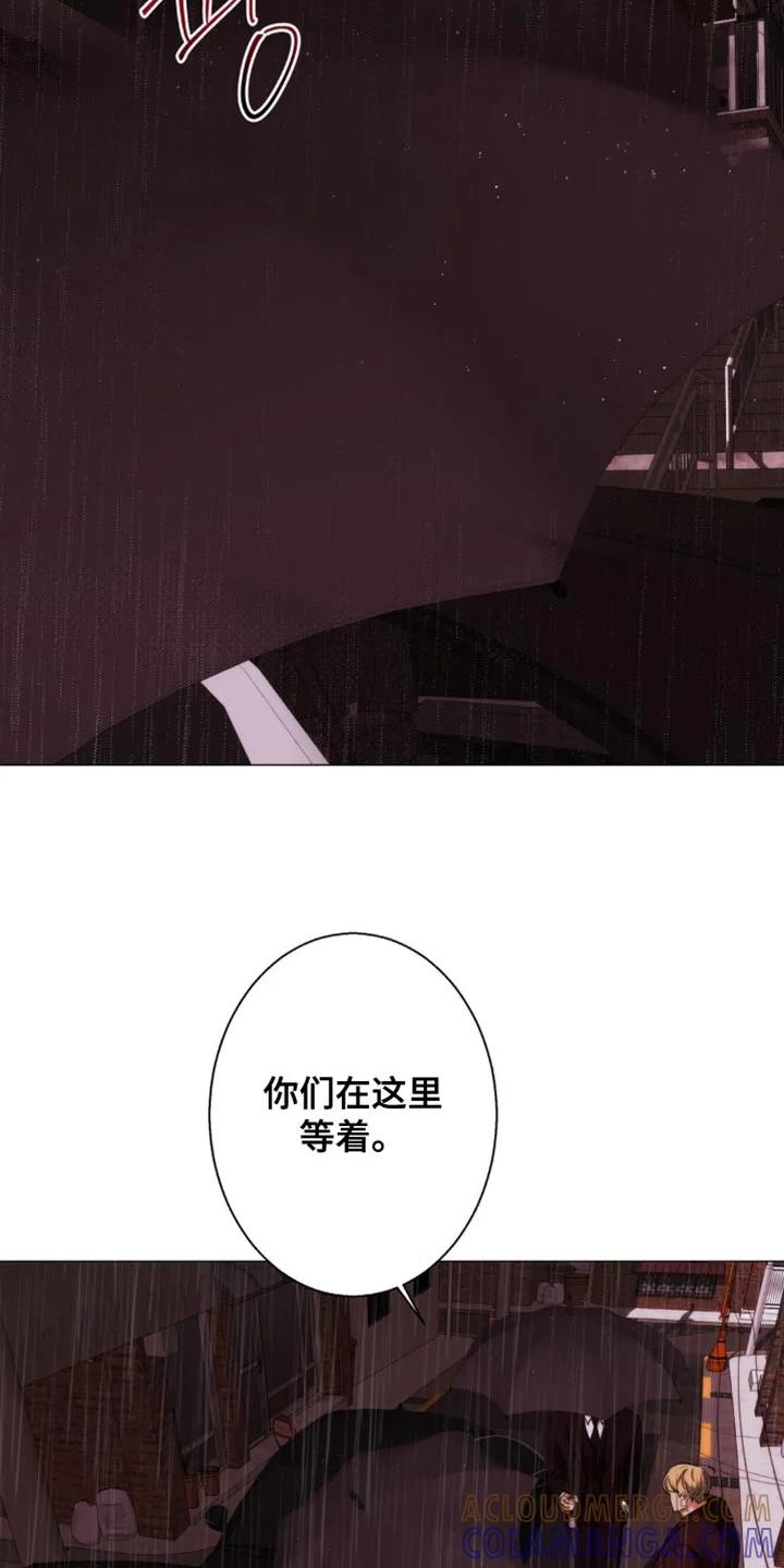 《海岛人生》第90章：【第二季】一个人去 第7页