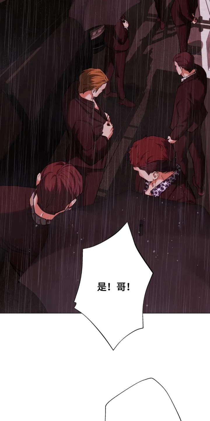 《海岛人生》第90章：【第二季】一个人去 第8页
