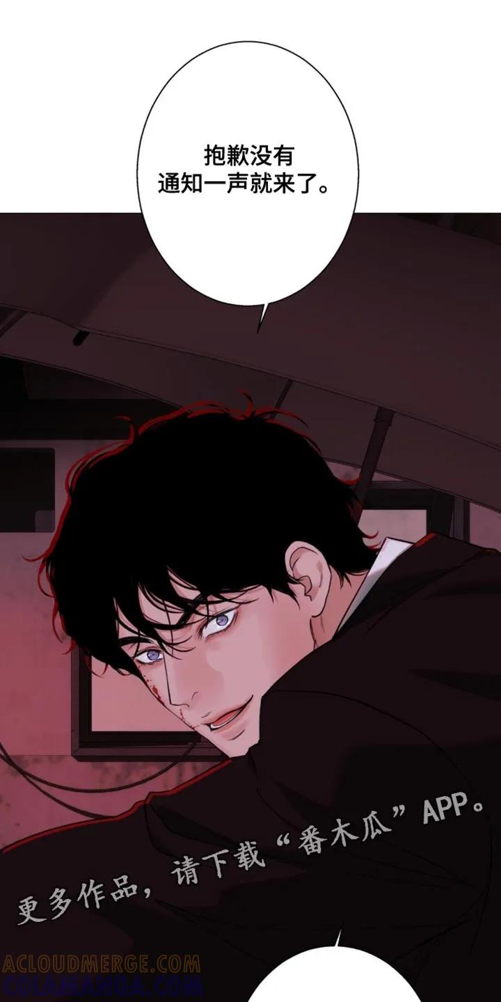 《海岛人生》第90章：【第二季】一个人去 第19页