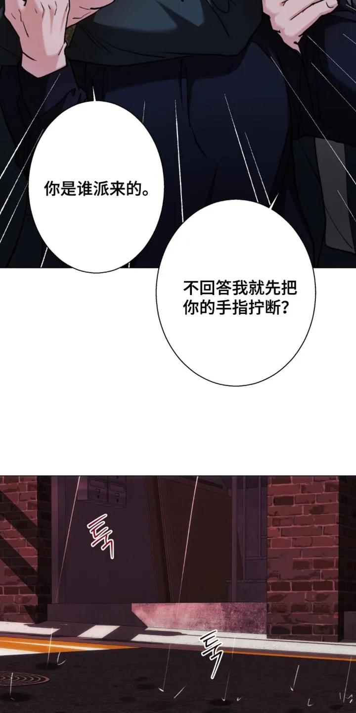 《海岛人生》第90章：【第二季】一个人去 第4页