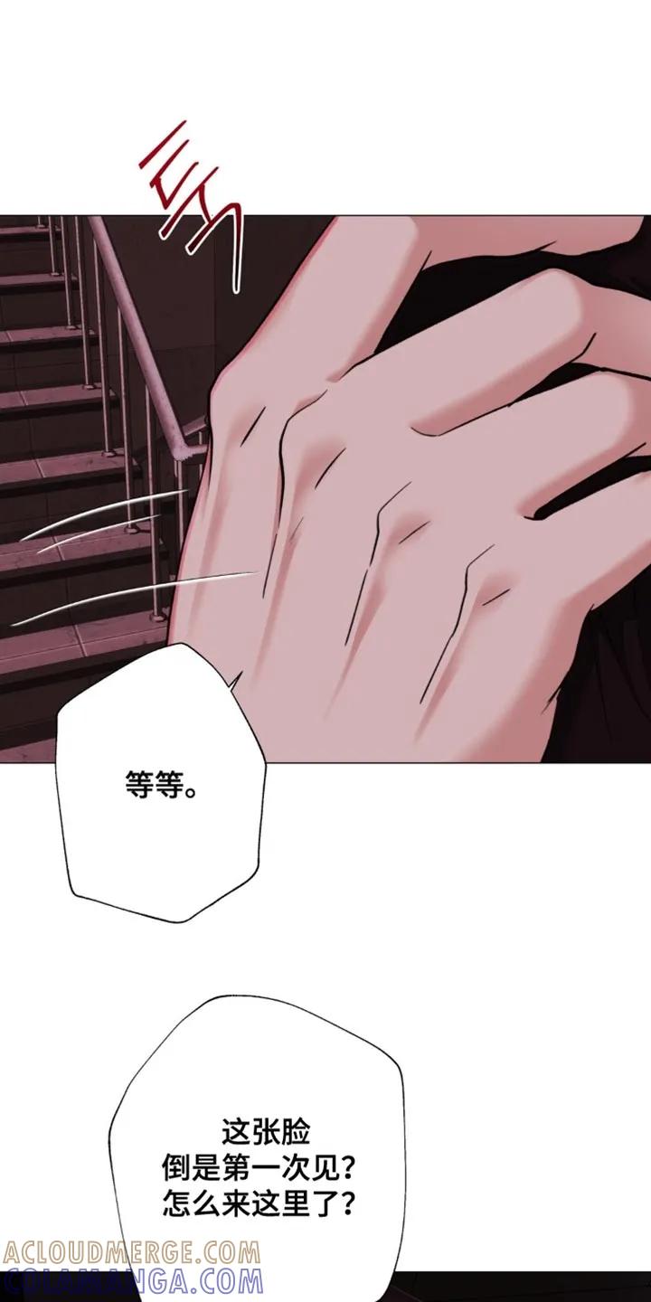 《海岛人生》第90章：【第二季】一个人去 第15页