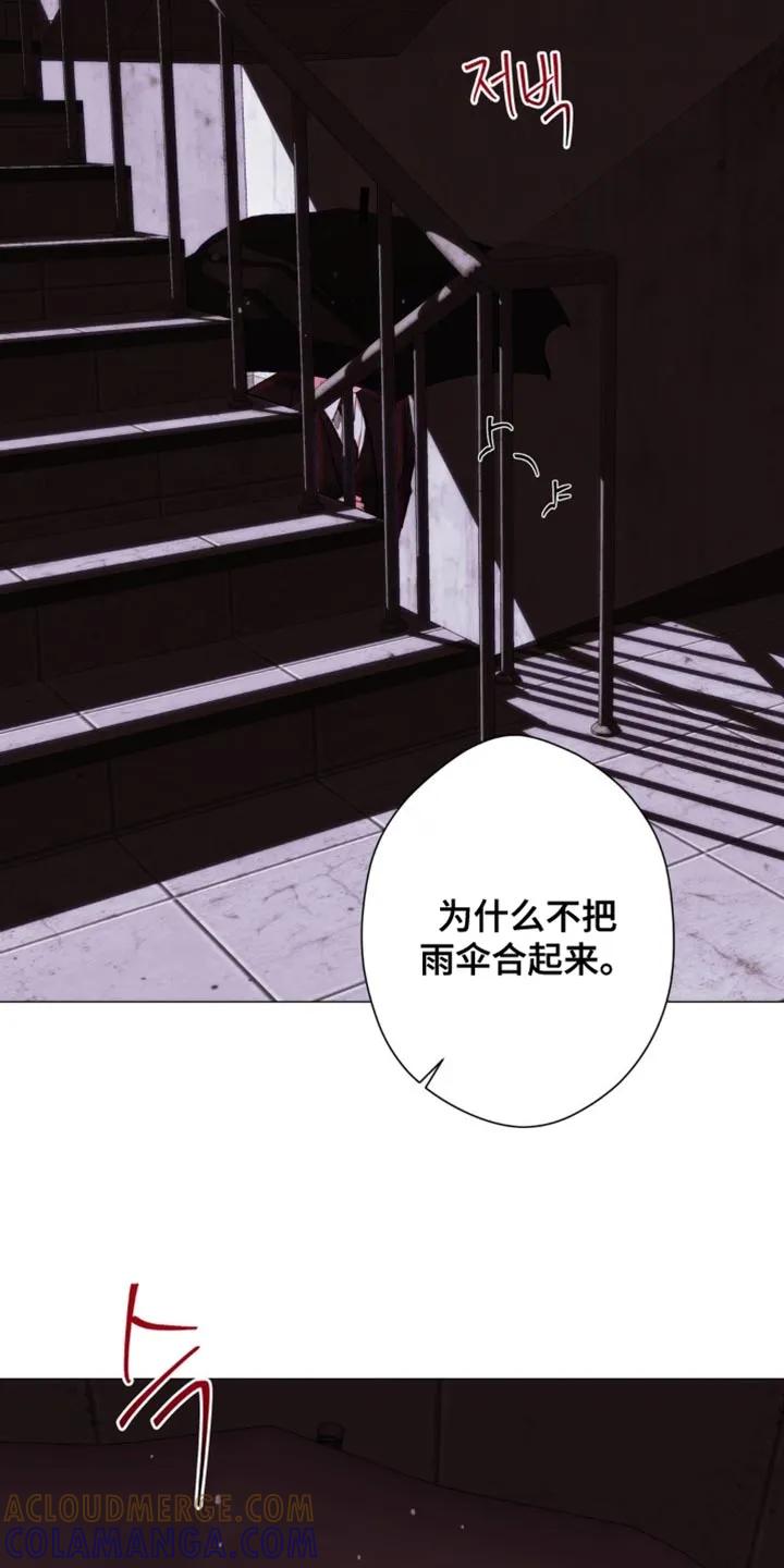《海岛人生》第90章：【第二季】一个人去 第13页