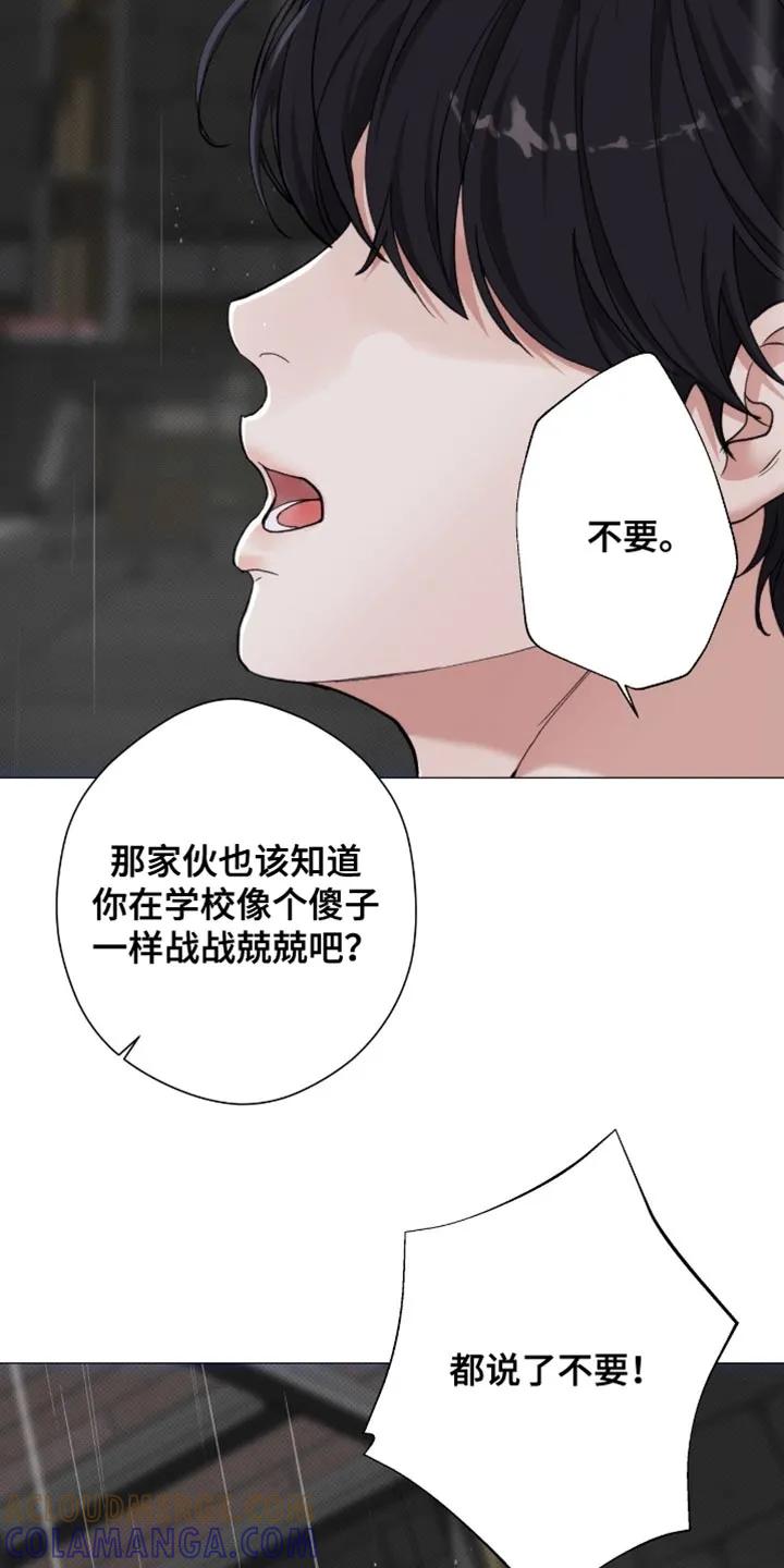 《海岛人生》第92章：【第二季】不想成为弱者 第17页