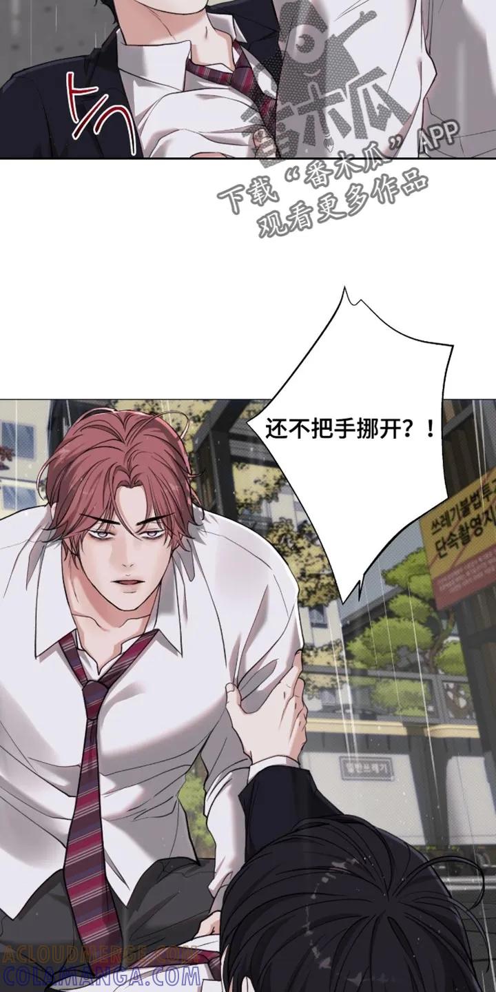 《海岛人生》第92章：【第二季】不想成为弱者 第13页