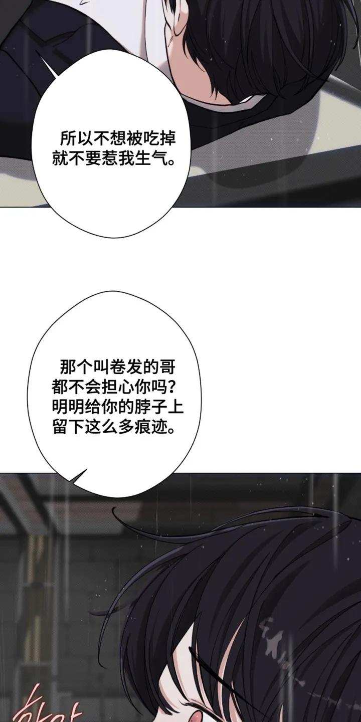 《海岛人生》第92章：【第二季】不想成为弱者 第14页