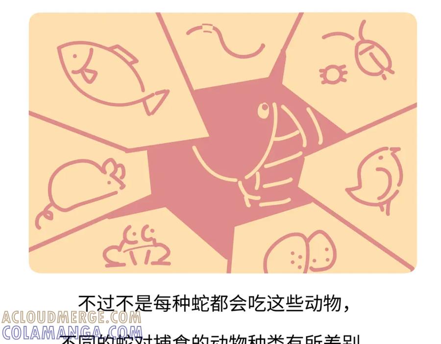 《胖达x胖达》第253话 第23页