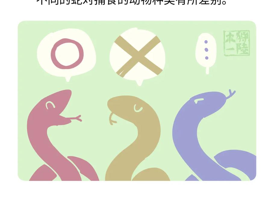 《胖达x胖达》第253话 第24页
