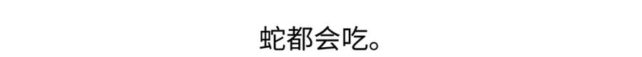 《胖达x胖达》第253话 第22页