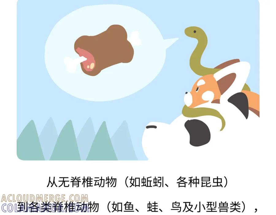 《胖达x胖达》第253话 第21页