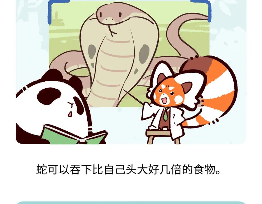 《胖达x胖达》第253话 第26页