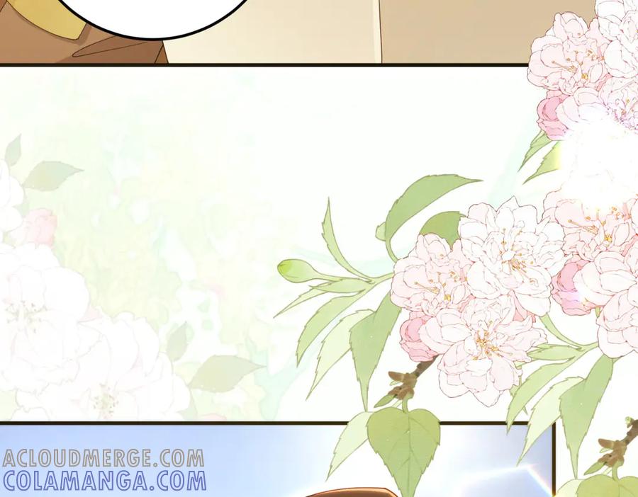 《我的三个大佬哥哥》第31话 交换联姻 第157页