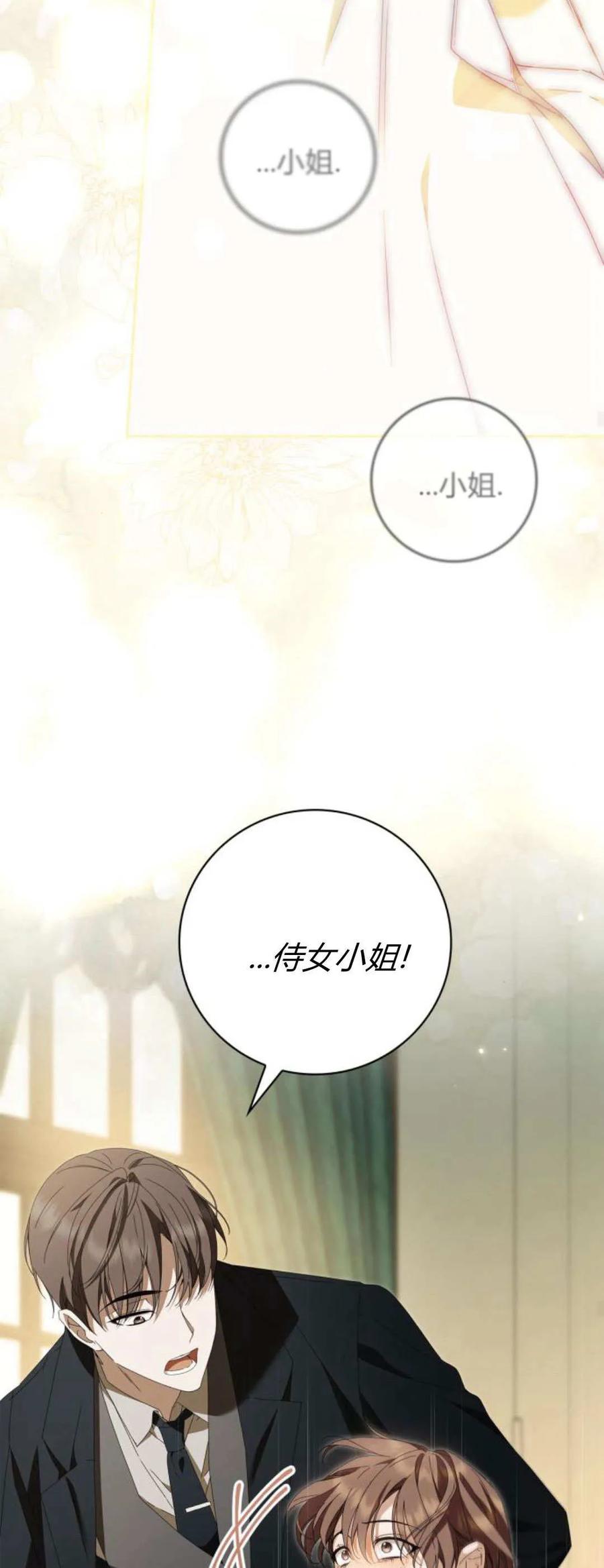 《伯爵家的神秘侍女》第20话 第44页