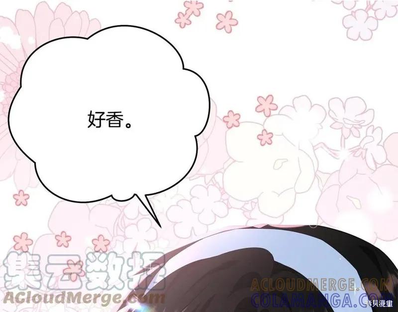 《明明是冷美人小姐却变成了忠犬大少爷》第77话 第37页