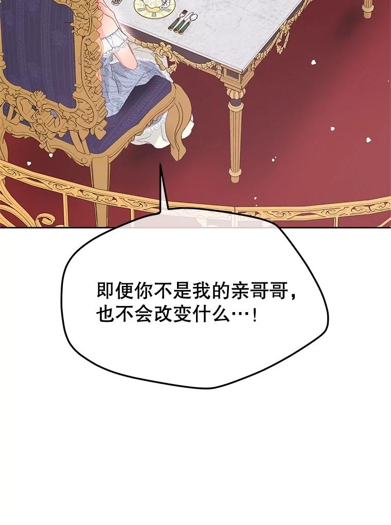 《不要相信那本日记》92.和盘托出 第91页