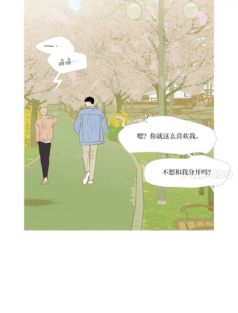 《远看是蔚蓝的春天》259.该死的青春 第15页