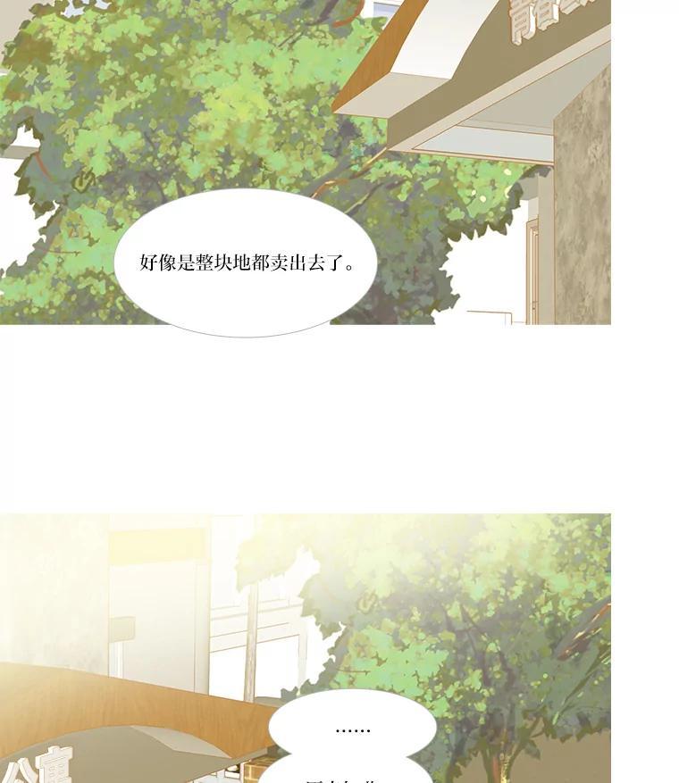 《远看是蔚蓝的春天》259.该死的青春 第3页