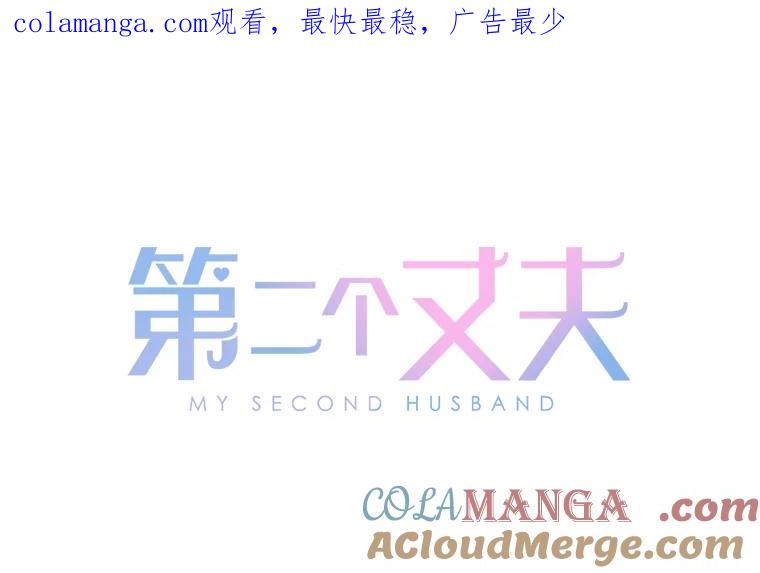 《第二个丈夫》9.可疑的视线 第1页