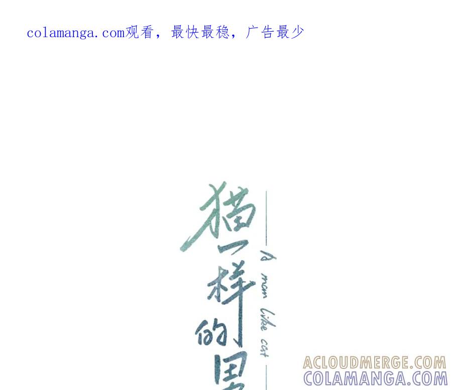 猫一样的男人 第11话 背锅 第1页