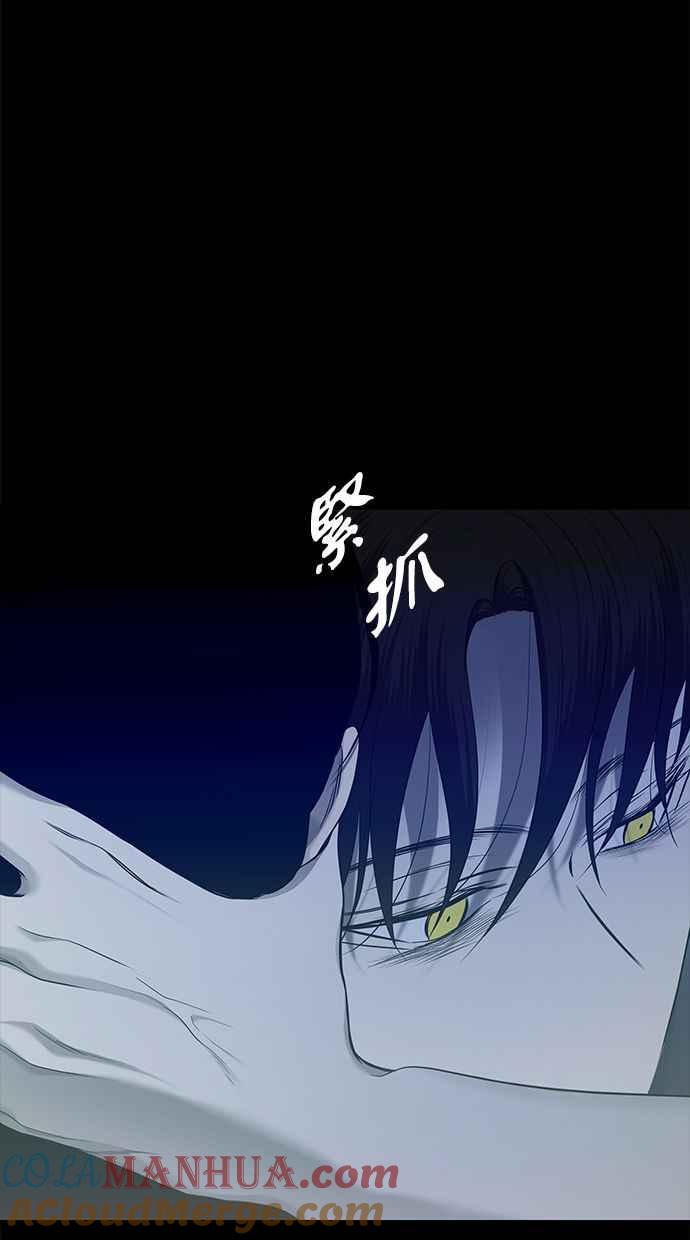 陷阱 第133话 第64页
