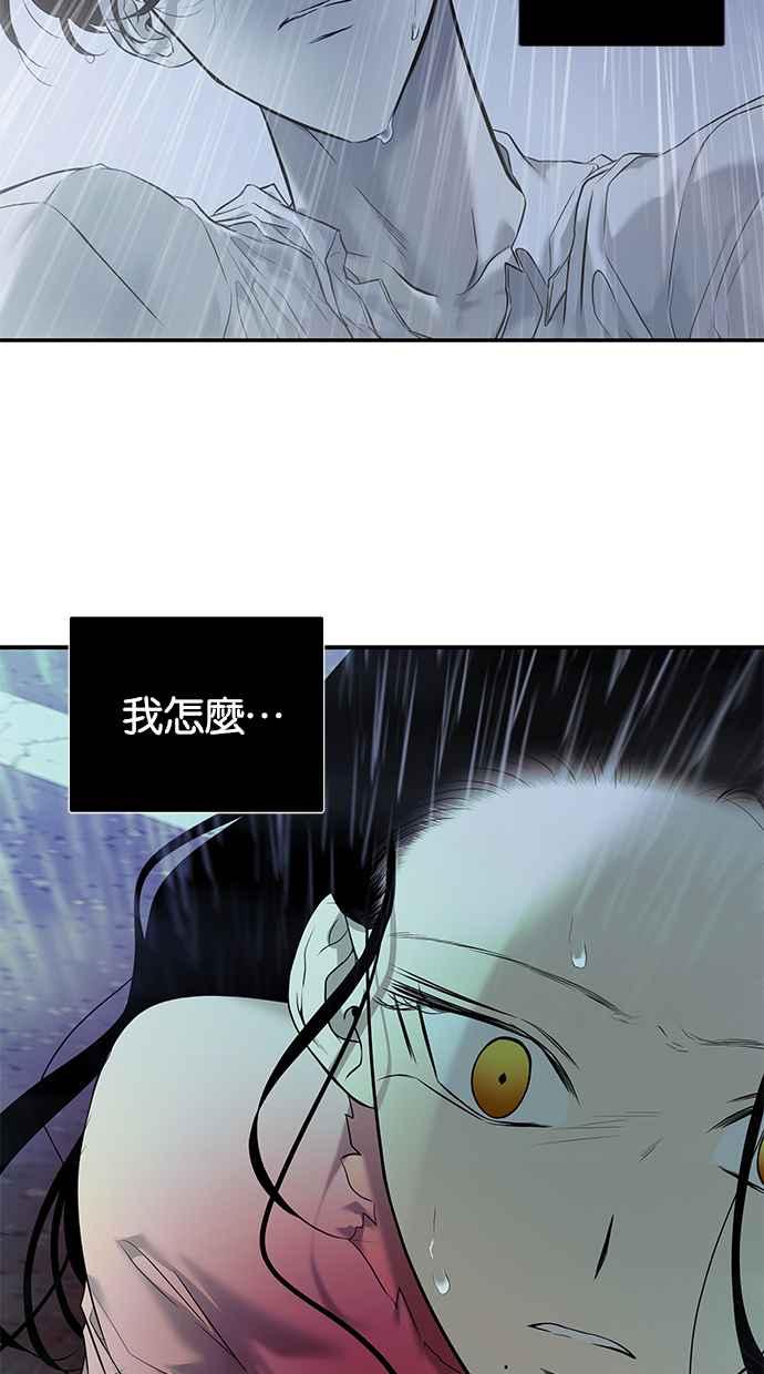 陷阱 第146话 第12页