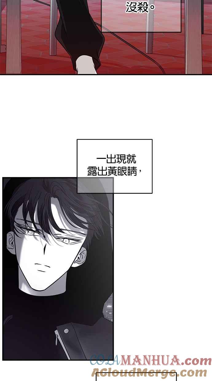 陷阱 第153话 第43页