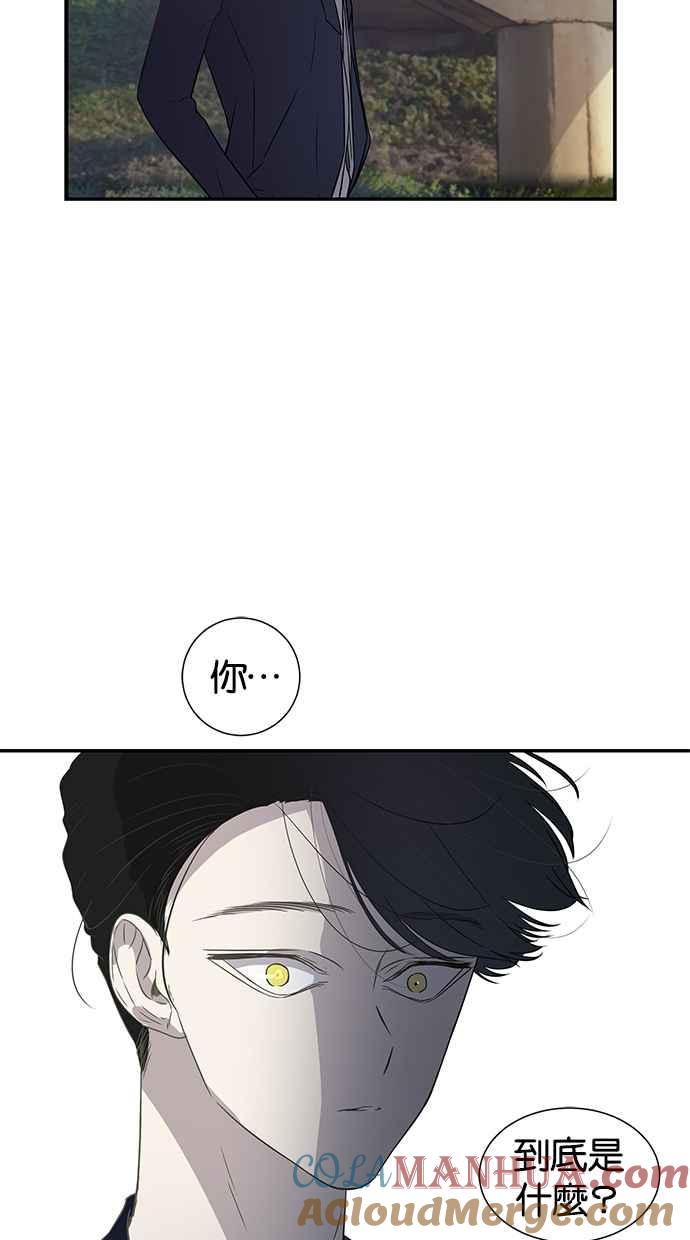 陷阱 第15话 第52页