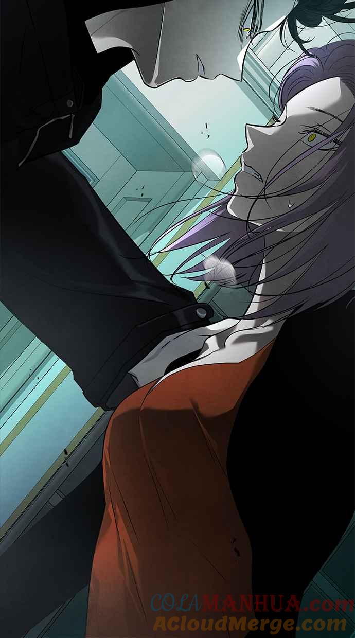 陷阱 第169话 第13页
