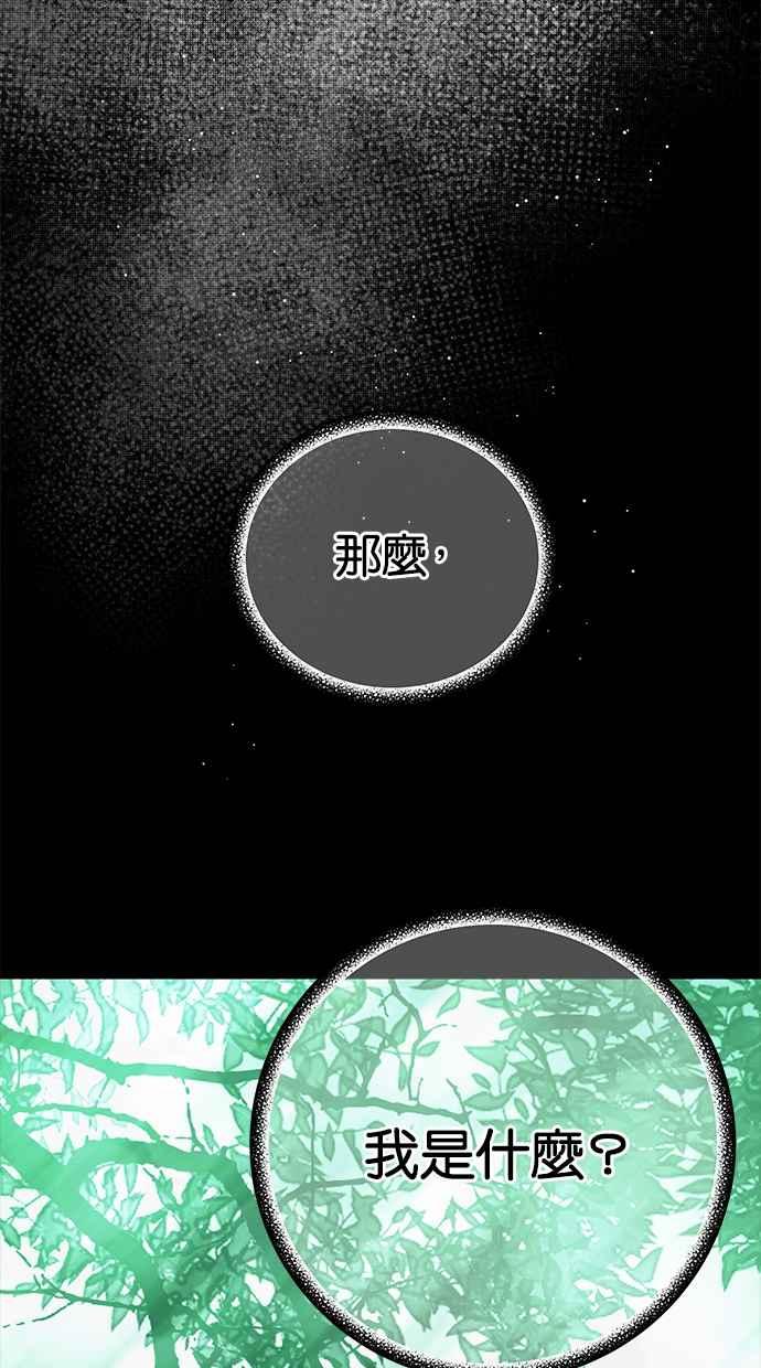 陷阱 第191话 第67页