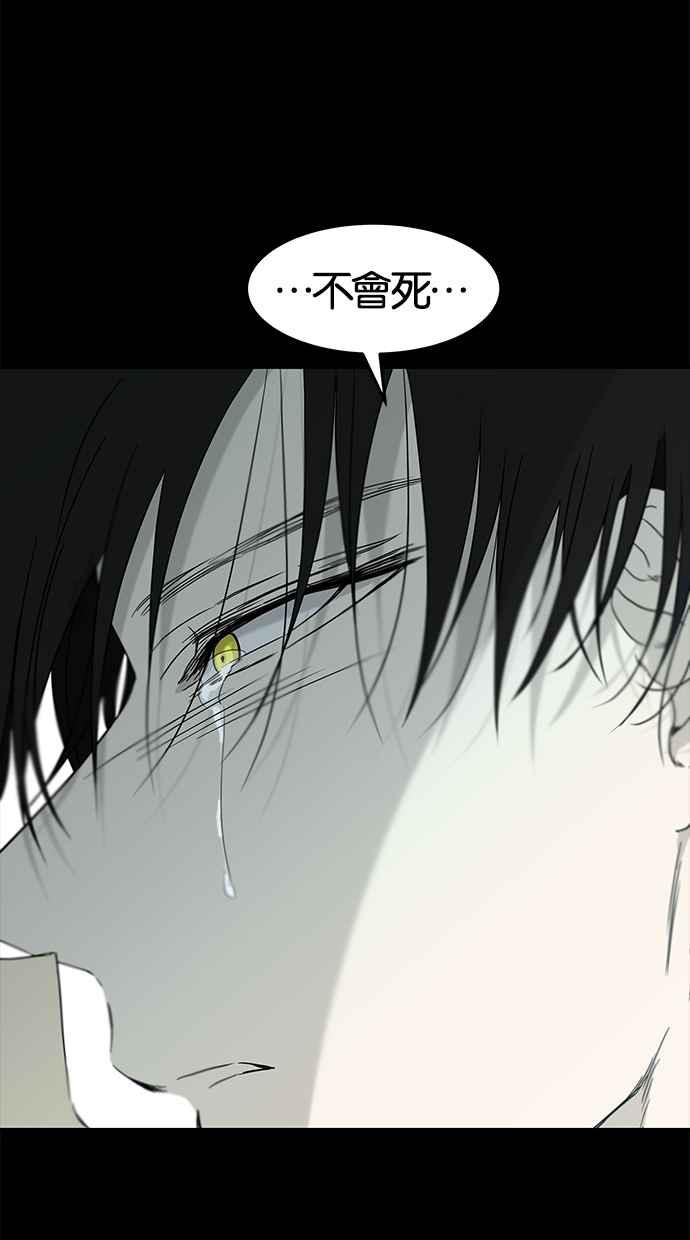 陷阱 第58话 第31页