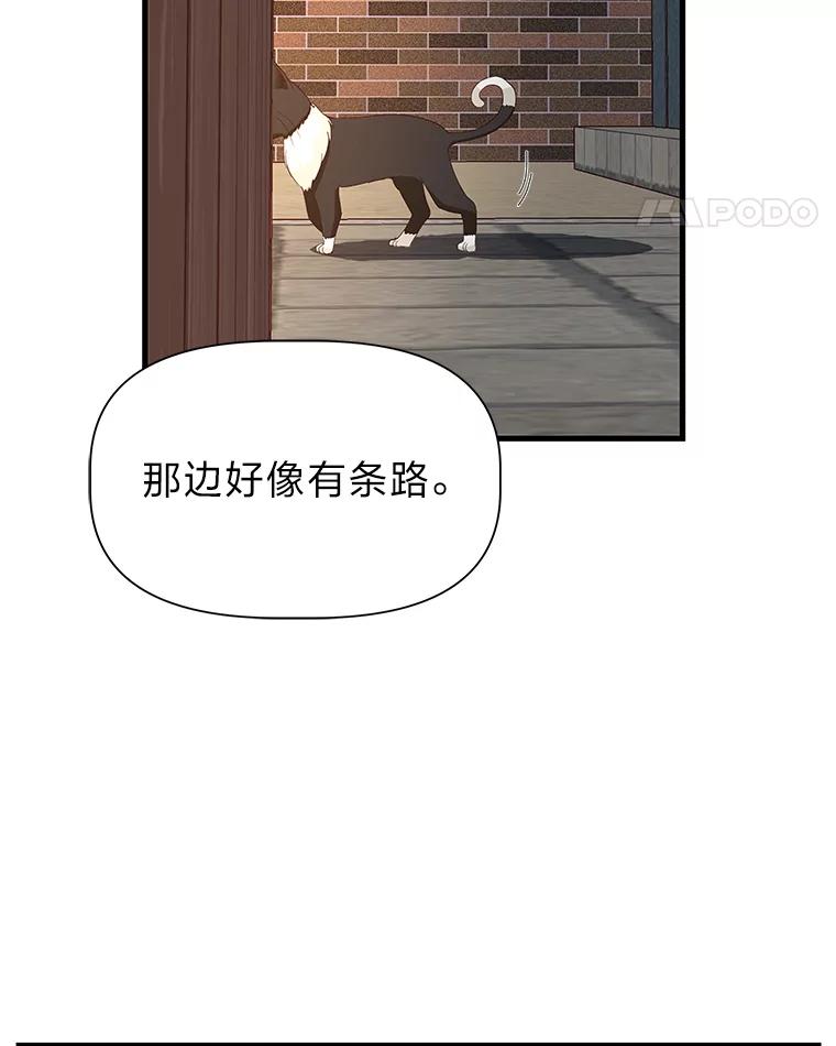 《深夜咖啡店》14.山茶的故事（1） 第51页