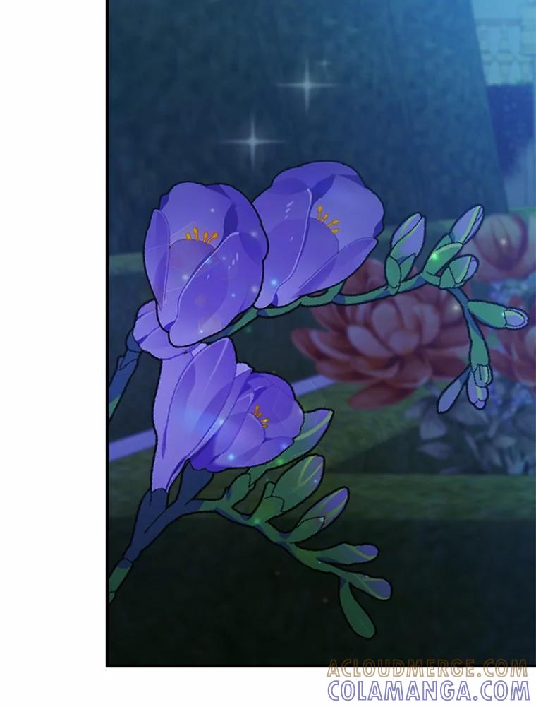 《本该爱上妹妹的他》48.夜会 第5页