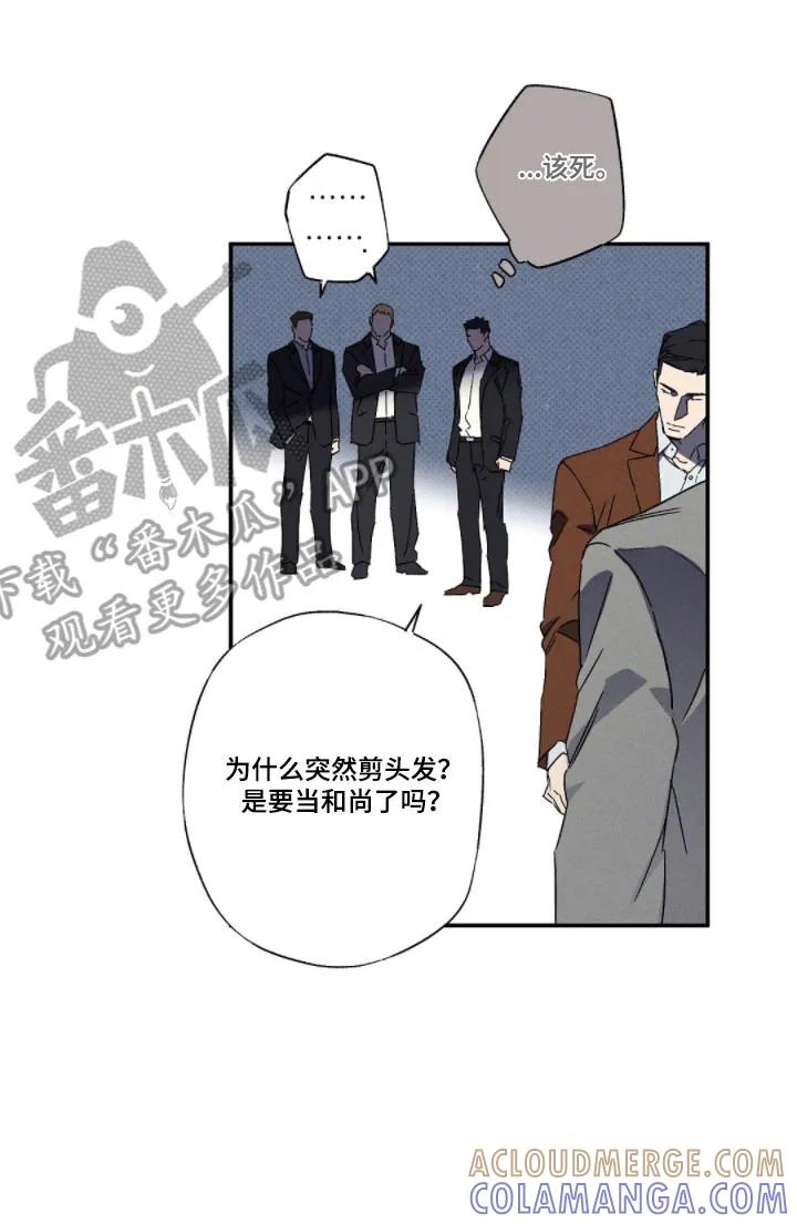 《狂沙肆虐》第145章：【第二季】最后一装 第15页