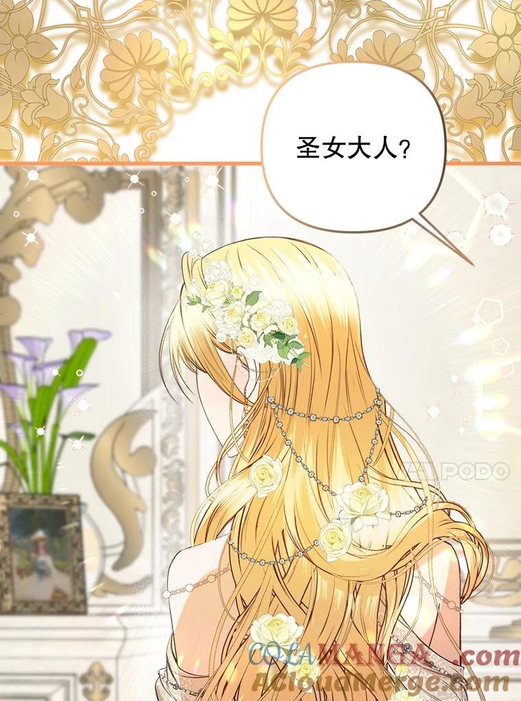 《圣女大人已黑化》26.抵达神殿 第113页