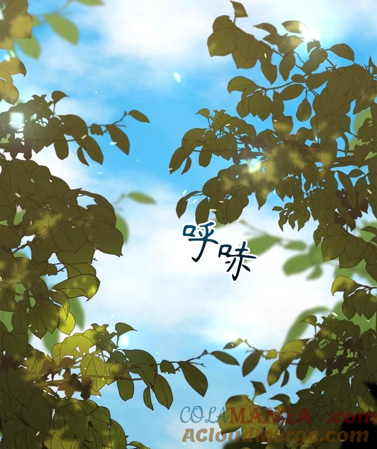 《圣女大人已黑化》30.狩猎大会 第29页