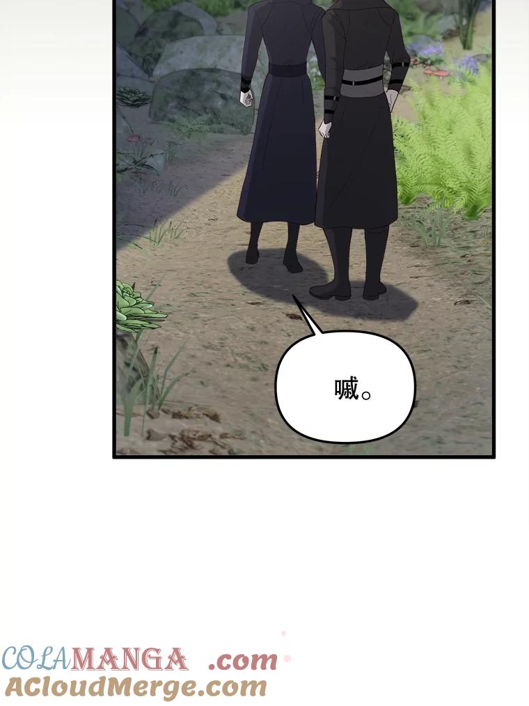 《圣女大人已黑化》30.狩猎大会 第73页
