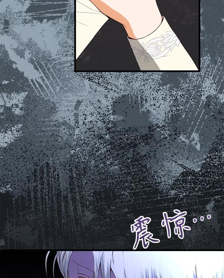 《圣女大人已黑化》35.成为天使 第55页