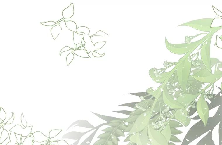 《圣女大人已黑化》37.可疑的人 第54页