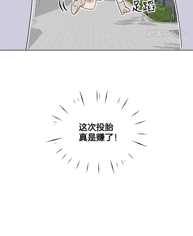 《仙女的惩罚》3.预谋 第99页