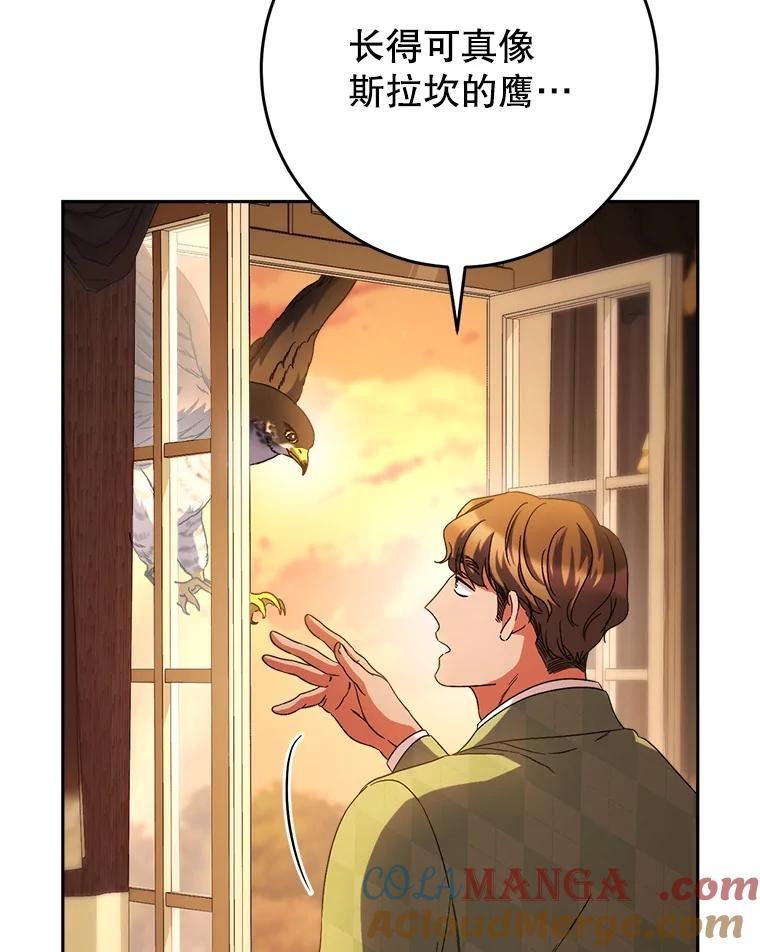 《这次要好好养妹妹》48.婚礼 第5页