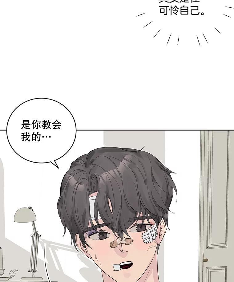 《仙女的惩罚》68.或许我真的爱上他了 第44页