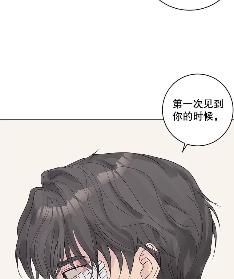 《仙女的惩罚》68.或许我真的爱上他了 第28页