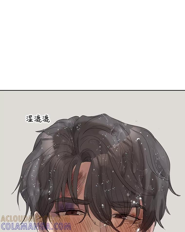 《仙女的惩罚》68.或许我真的爱上他了 第17页