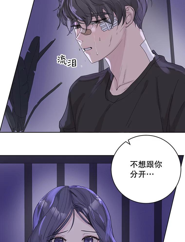 《仙女的惩罚》69.确定关系 第16页