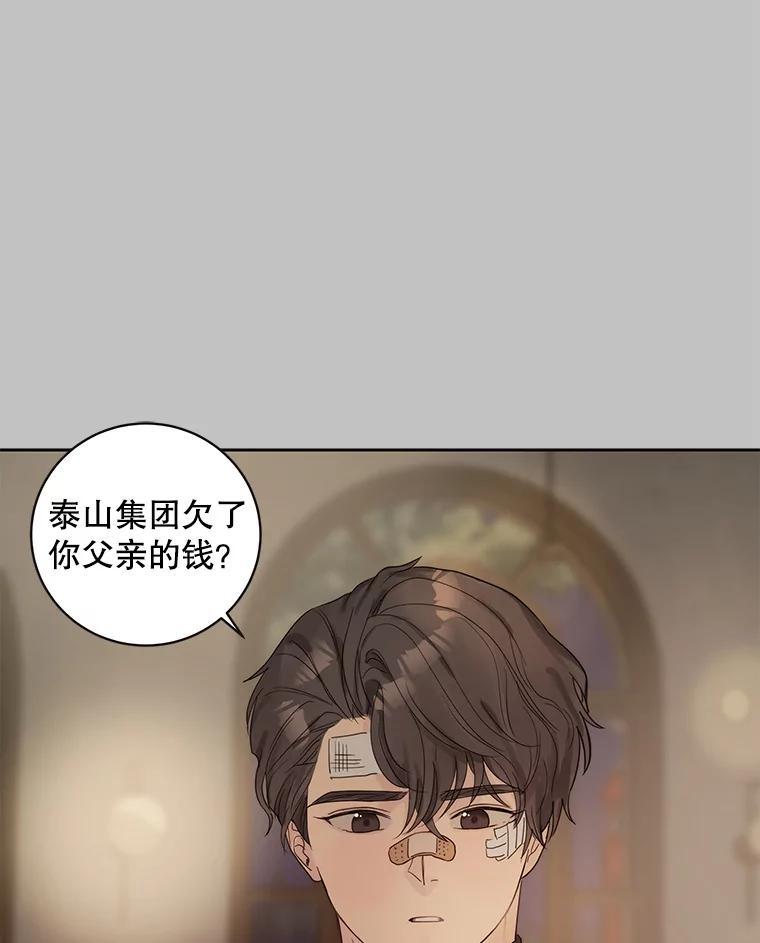 《仙女的惩罚》70.不告而别的真相 第20页