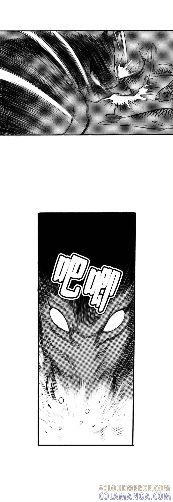 《龙飞不败》第72话 第55页